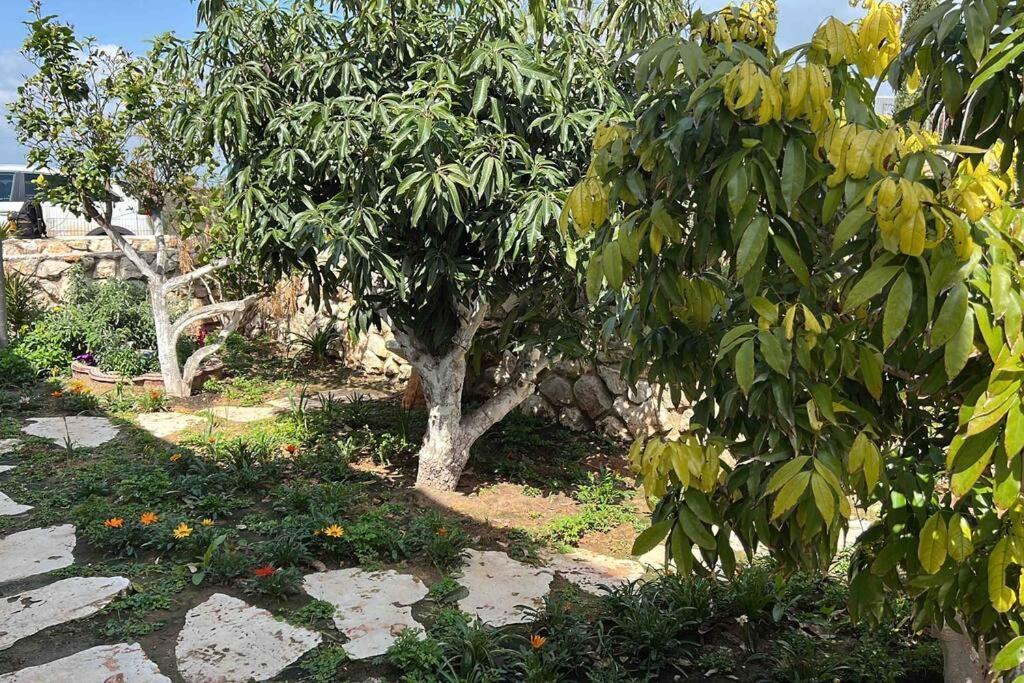 אחוזת היניבים Yaniv Estate Villa Nurit Exterior photo